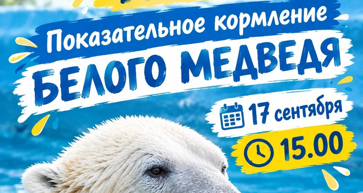 В Пензе покажут, как белый медведь обедает, — на зрелище зовут всей семьёй
